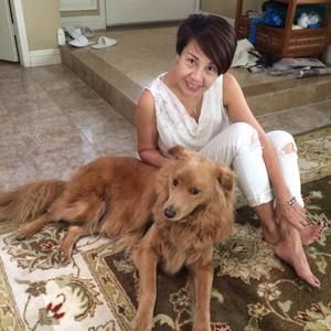 Meet your Posher, Joyce